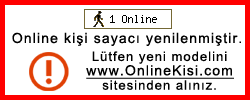 Online Ki�i Sayac�
